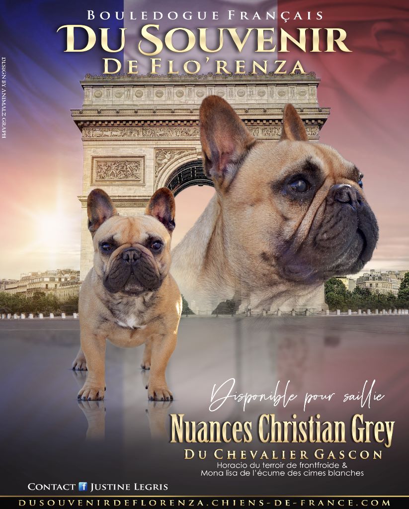 Nuances christian grey du Chevalier Gascon